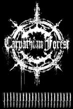 Load image into Gallery viewer, Black Metal Battle Jacket: Back Patches Presentation Cut-Off Denim Vest Darkthrone Bathory Mayhem Emperor